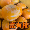 送料無料‼️味保証します‼️本当に美味❗岐阜県糸貫産富有柿詰め合わせ⭐️産地直送