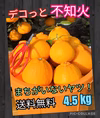 デコっと不知火『訳あり』SALE　4.5 kg（箱込）送料無料