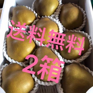 希少！山形県産西洋梨　ゴールド・ラフランス　3k g ✖️２箱セット  贈答品