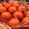 【いまが旬！】ぜいたくトマト☆全国トマト選手権金賞受賞☆