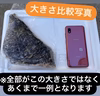 【冷凍】黒鯛　2kg