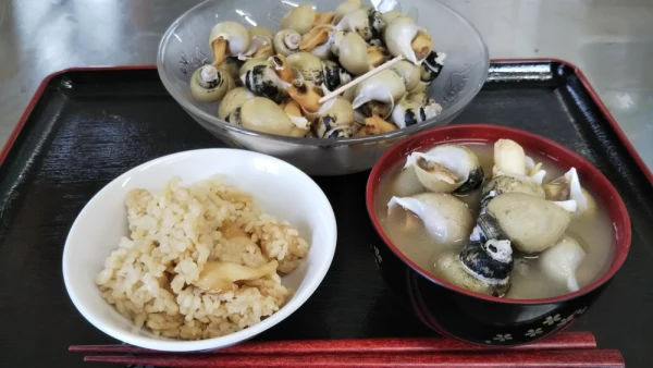 鼠ヶ関港より味噌汁、煮付けにも最適な深海性バイ貝(ツバイ)