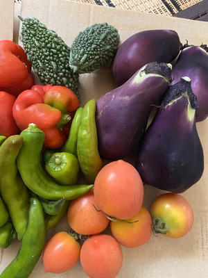 みんなの投稿の画像