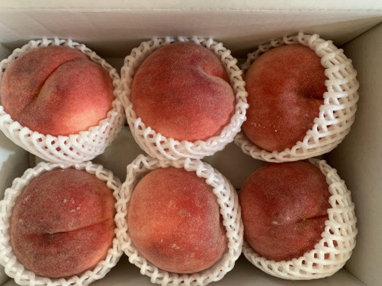 ぜんぞう果樹園の通販 中野太一さん 農家漁師から産地直送の通販 ポケットマルシェ