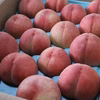 【長野県産・贈答用】“極上の夏桃” あかつき 5kg（12〜18玉入り）