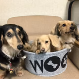 ラッキーのばあや