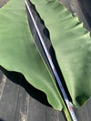 「農薬・化学肥料栽培期間中不使用」バナナの葉(バイトーン) 1セット約200g