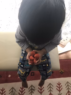 みんなの投稿の画像