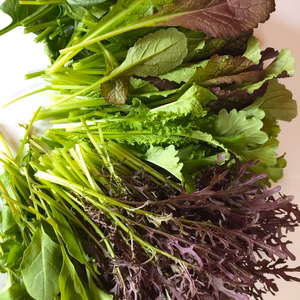 フレッシュサラダリーフ　5種類 お試しセット　300g