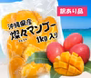 【沖縄県産】冷凍 燦々マンゴー（ハーフカット）【業務用・無添加・保存料不使用】