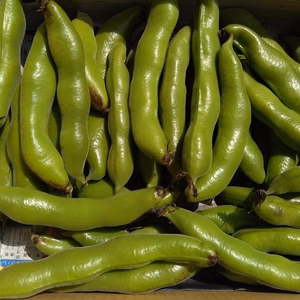 ★訳あり★空豆　3ｋｇ　お得便（1粒や2粒が入りますが、中身は一緒♪）