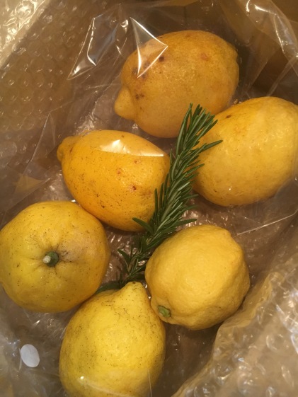 レモンポリフェノールパウダー２個セット 農家漁師から産地直送の通販 ポケットマルシェ