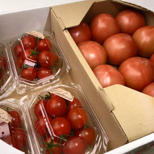 桃太郎トマト×フルーティMakaka〜よくばりBOX〜