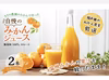 ドルチェみかんの100％ストレートジュース2本化粧箱