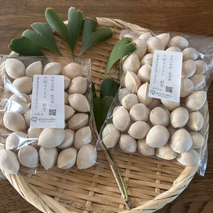 愛知県産　大粒もちもち銀杏