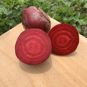 【1kg〜】火の国レッドビーツ ※栽培期間中、科学的な農薬・肥料不使用