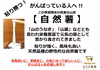 野性味溢れる自然薯～粘り強く頑張る人へ!!～【300gカットお試し】