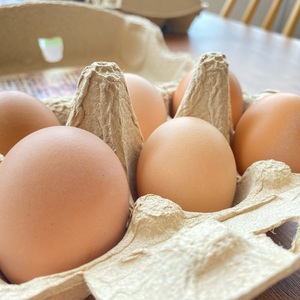 【ギフト用】福地鶏の栄養満点「初卵」