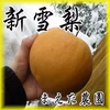 希少種・鳥取産★新雪梨3㎏(4～6玉入り)