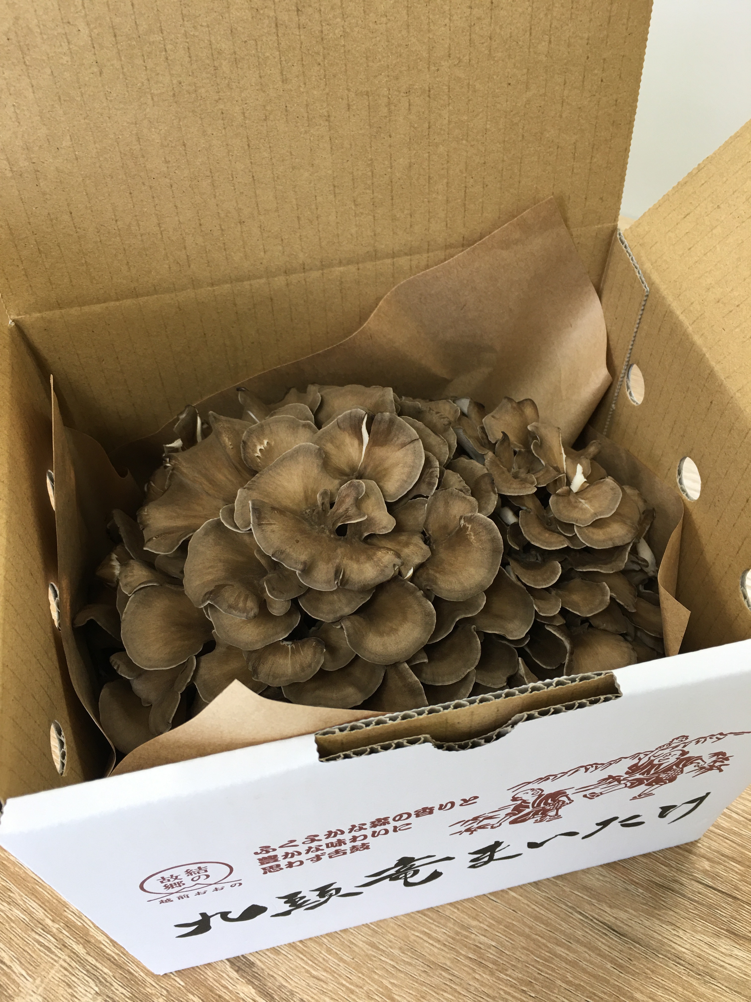 舞茸様 楽天市場】まいたけ 粉末 群馬まいたけセンターの通販