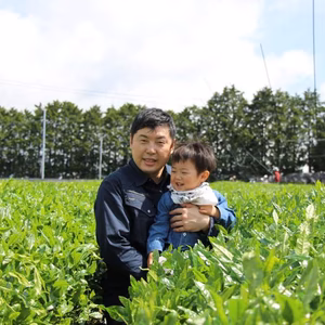 やっとできたよ高原の新茶！開拓から農薬不使用のオーガニックかぶせ茶&煎茶セット