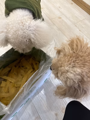 みんなの投稿の画像