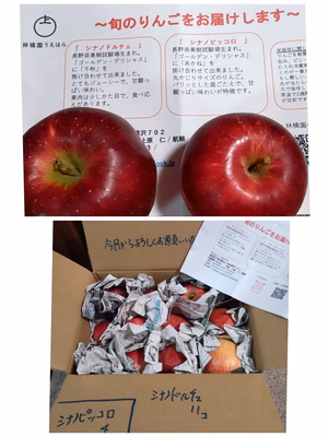 みんなの投稿の画像