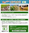 【R2新米】【10%OFF】無農薬の新潟コシヒカリ（精米5kg）＃学校給食
