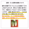 【農薬・化学肥料不使用】冬野菜Sセット（6品目前後）