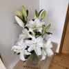 ◆贈答品・プレゼント◆オリエンタルユリ（白）でお部屋時間を彩りましょう！