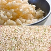 【玄米】食べ比べセット！もっちりコシヒカリ&あっさりこしいぶき【令和4年産】