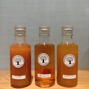 3種のシロップ【たんかん・梅・グアバ柑橘】お好きな組み合わせでどうぞ！