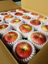 ☆季節のおまかせりんごセット☆【家庭用2～15kg】長野県産りんご