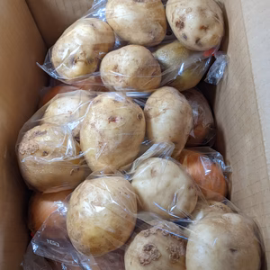 玉ねぎとじゃがいもの詰め合わせ