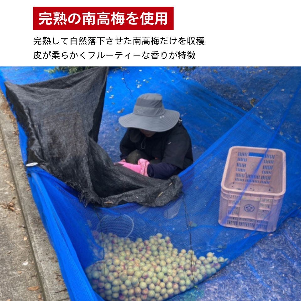 月末まで最大5000円割引！無添加 紀州南高梅 和歌山 紀州 白梅｜漬物