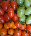 【４種のトマトセット】ミニ・中玉トマト詰め合わせ１kg