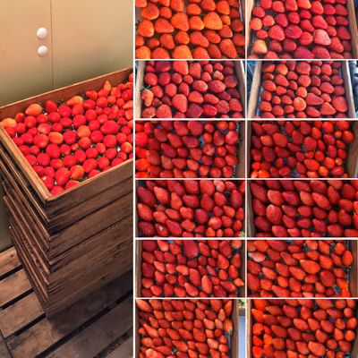 みんなの投稿の画像