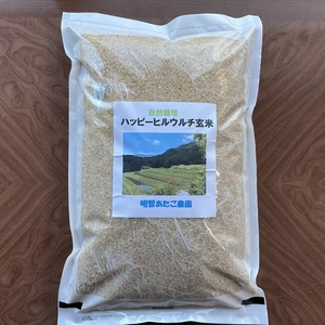 【自然栽培】ハッピーヒルウルチ玄米5kg　農薬不使用・無肥料栽培　令和５年産