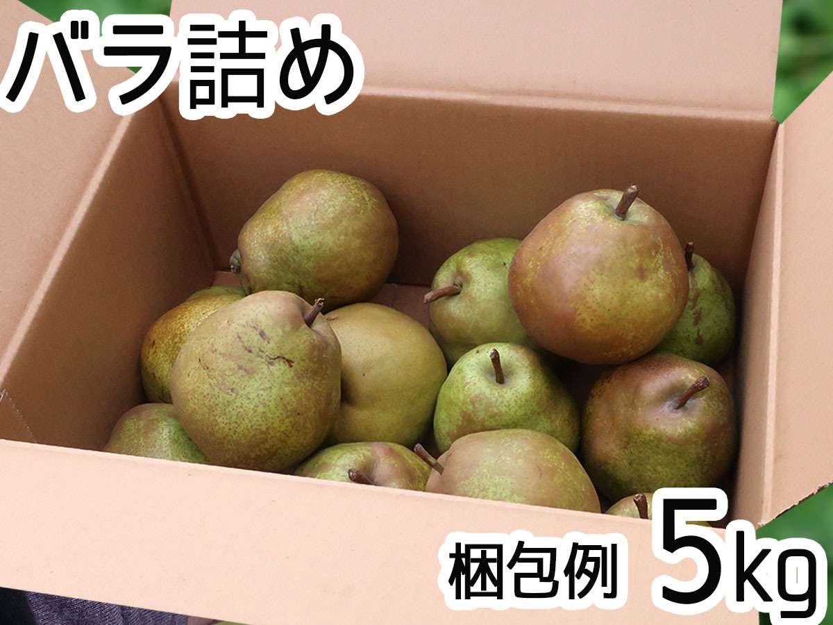 青森県産　洋梨　マルゲリットマリーラ　箱込み5キロ