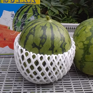 【今が旬、小玉スイカ】(1玉)糖度１０度「高野山麓和歌山産」