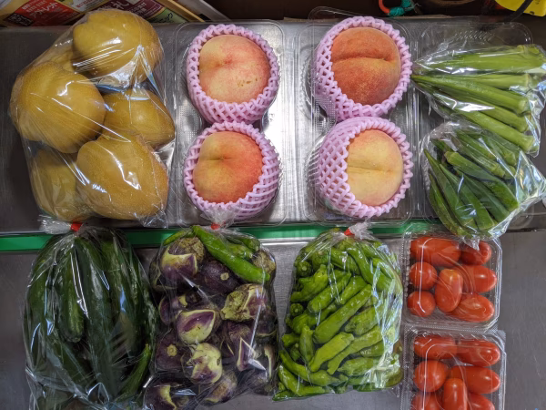 アイコ、オクラ、シシトウ、キュウリ、丸ナス、桃、梨
