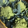 【川上農園】野菜セット（大）ロマネスコ、塌菜推し✨