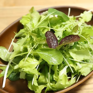 海老名産・新鮮ベビーリーフ
