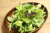 海老名産・新鮮ベビーリーフ