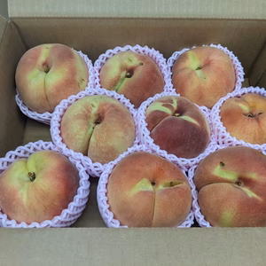 桃キズあり3.5kg