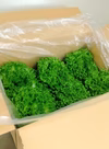 1玉約300ｇ!!の完全閉鎖型植物工場産のフリルレタス