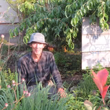 佐藤茂行 | むかし野菜の邑　佐藤自然農園