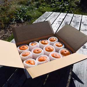 【贈答用、Mサイズ12個入り】会津みしらず柿【柿箱入り】