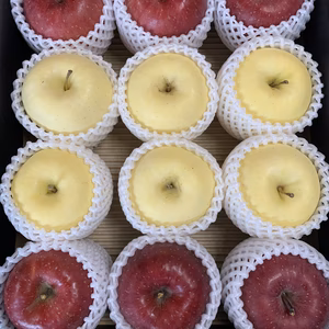 青森りんごを直送　大玉『蜜入り完熟サンふじ・金星』５Kg　１２個入り