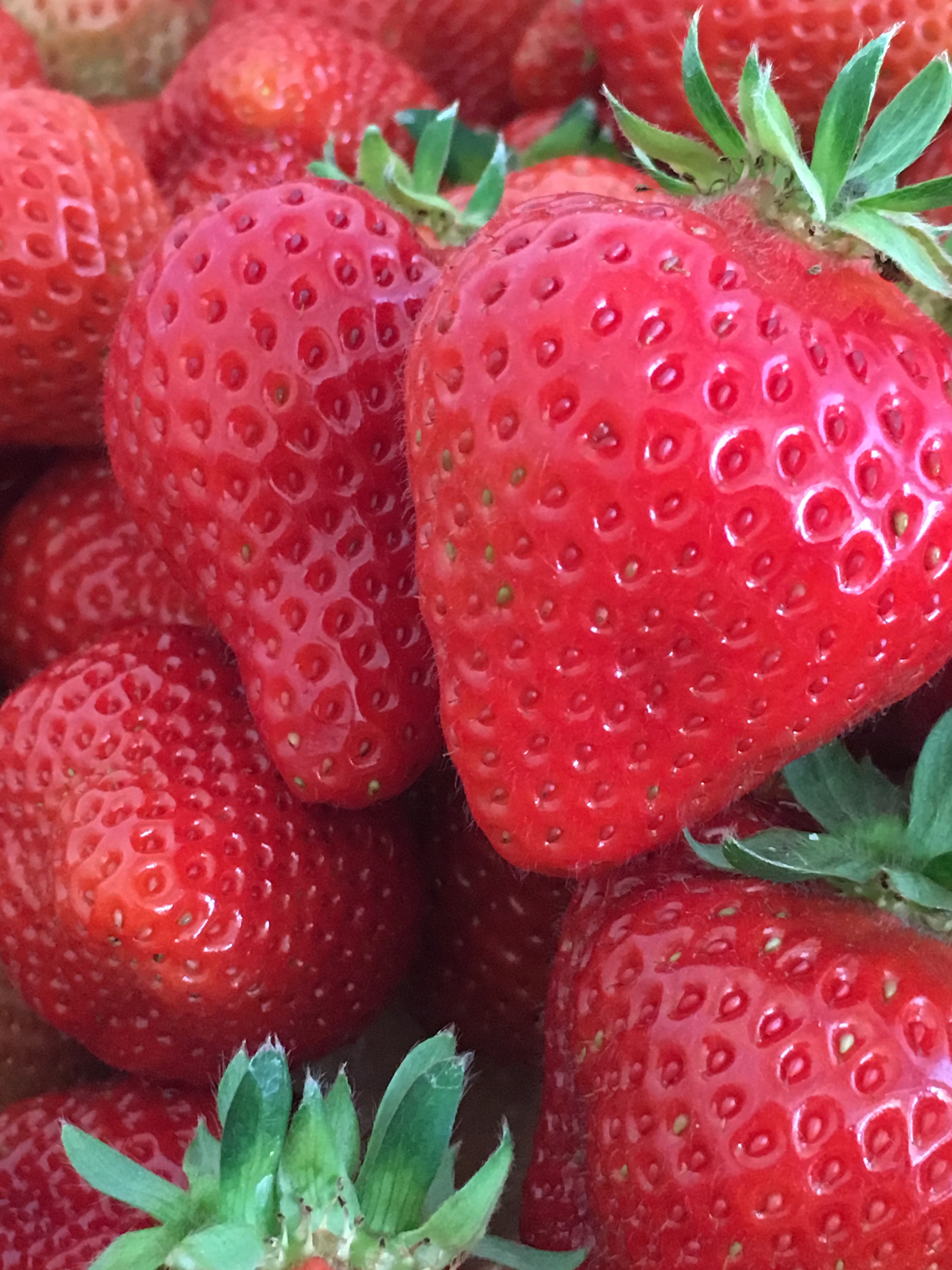 れいとうクラッシュドあまおう 冷凍イチゴ 農家漁師から産地直送の通販 ポケットマルシェ